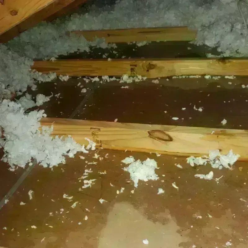 Attic Water Damage in Gifford, FL