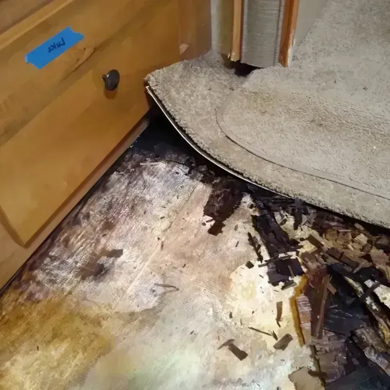 Wood Floor Water Damage in Gifford, FL